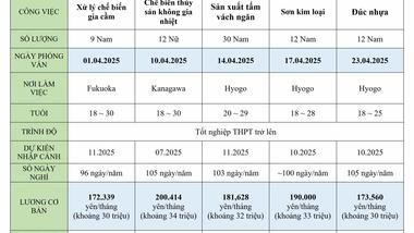 Công ty Sen Đại Dương tuyển dụng thực tập sinh làm việc tại Nhật Bản